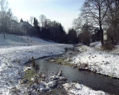 Spaziergang im Stadtpark am 1. Februar 2003